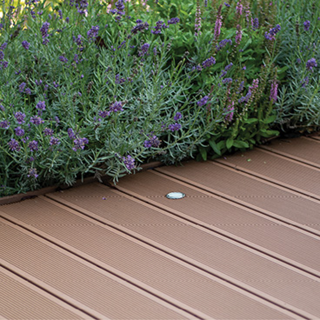 WPC Terassendiele wpc-terrassendiele.png